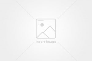 placeholder placeholder